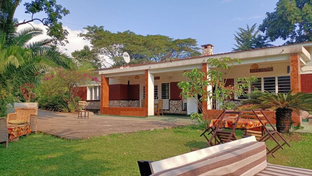 Colibri Taverne & Guest House 吉塞尼 外观 照片