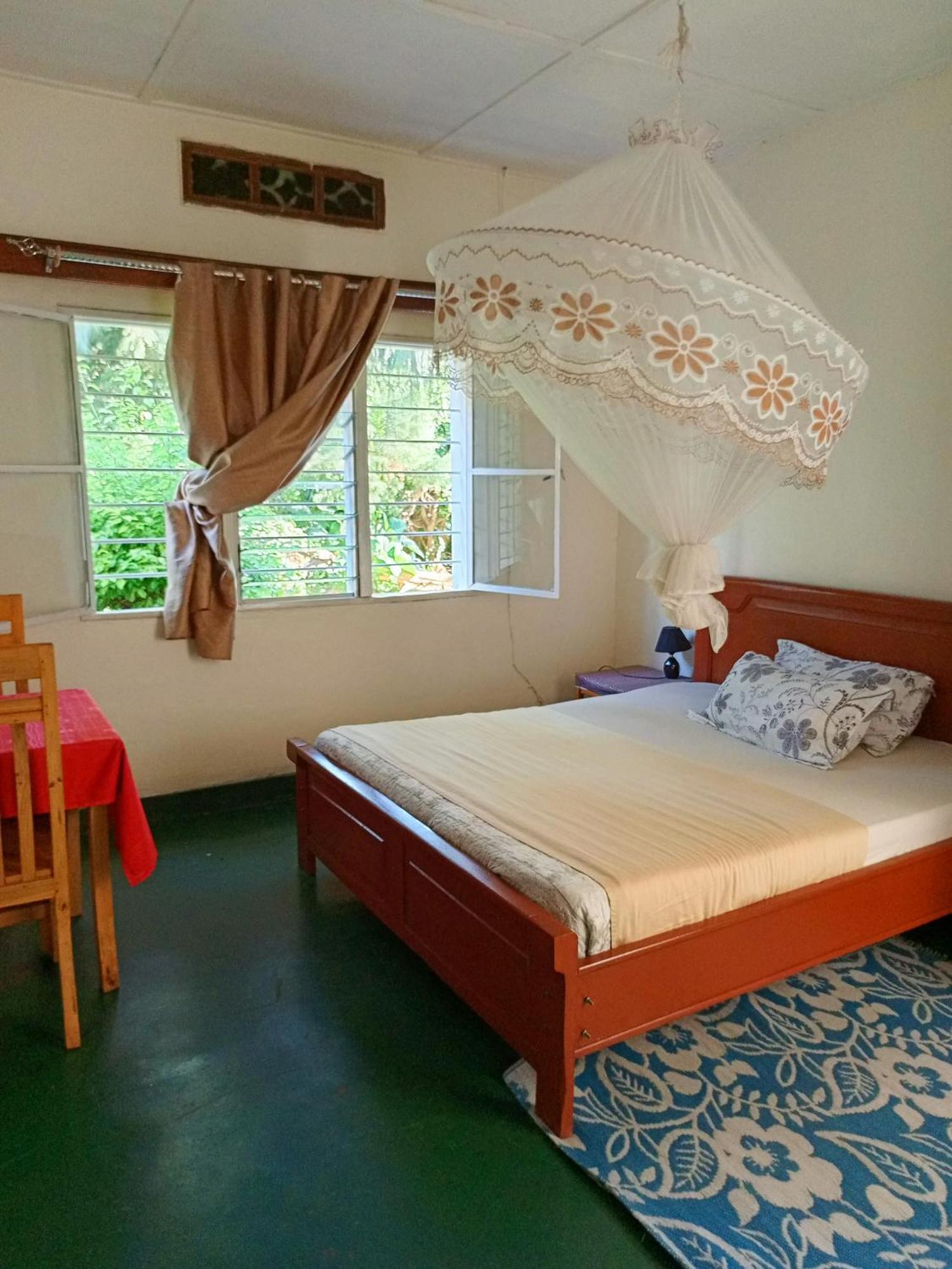 Colibri Taverne & Guest House 吉塞尼 外观 照片